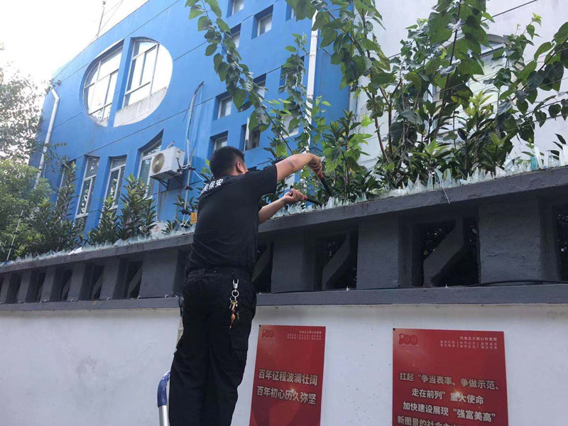 图八_副本.jpg